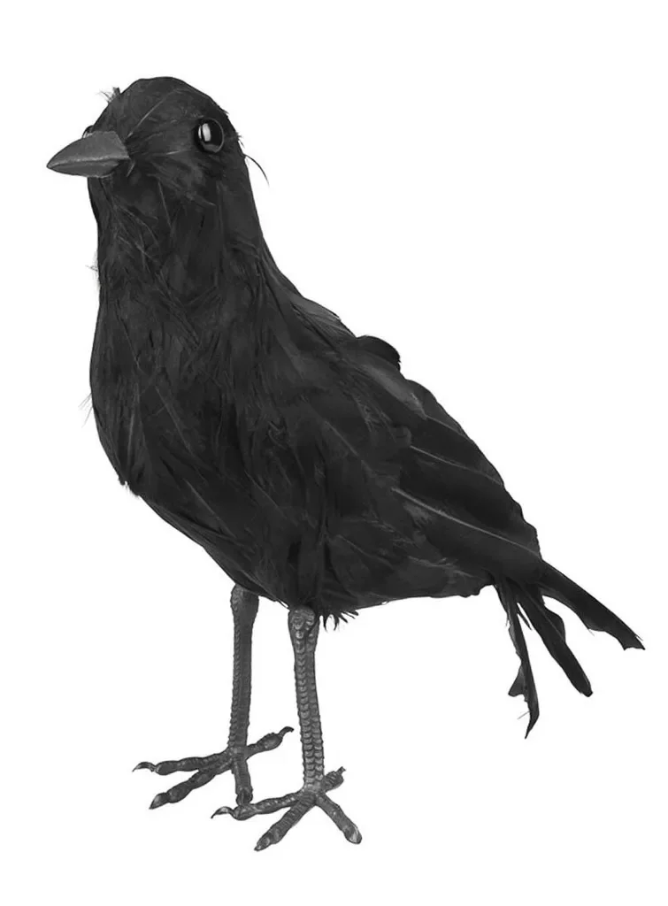 Metamorph Schwarze Krähe Dekofigur für Halloween Horror